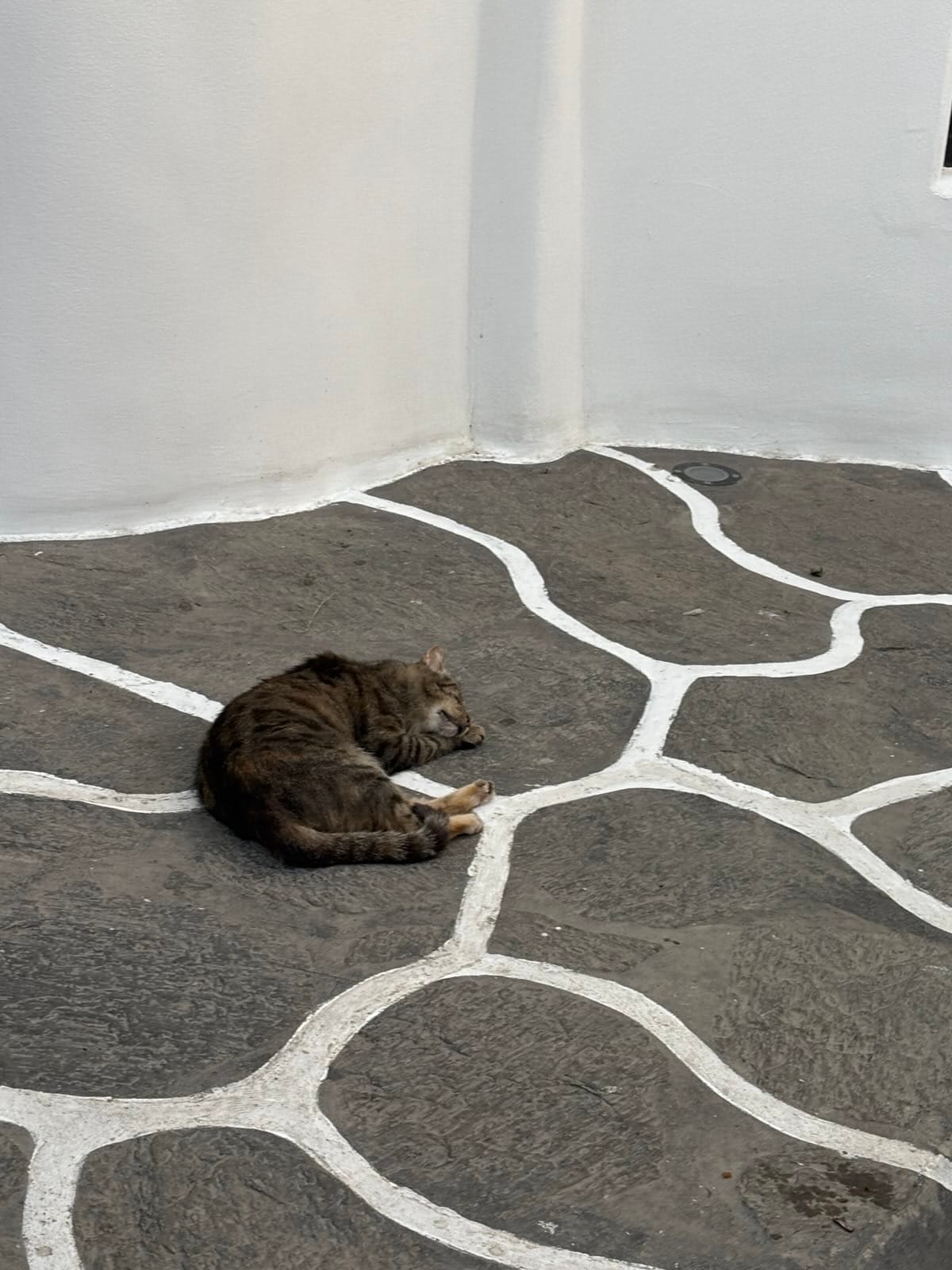 Day 4 - Ferry ride to Mykonos Island