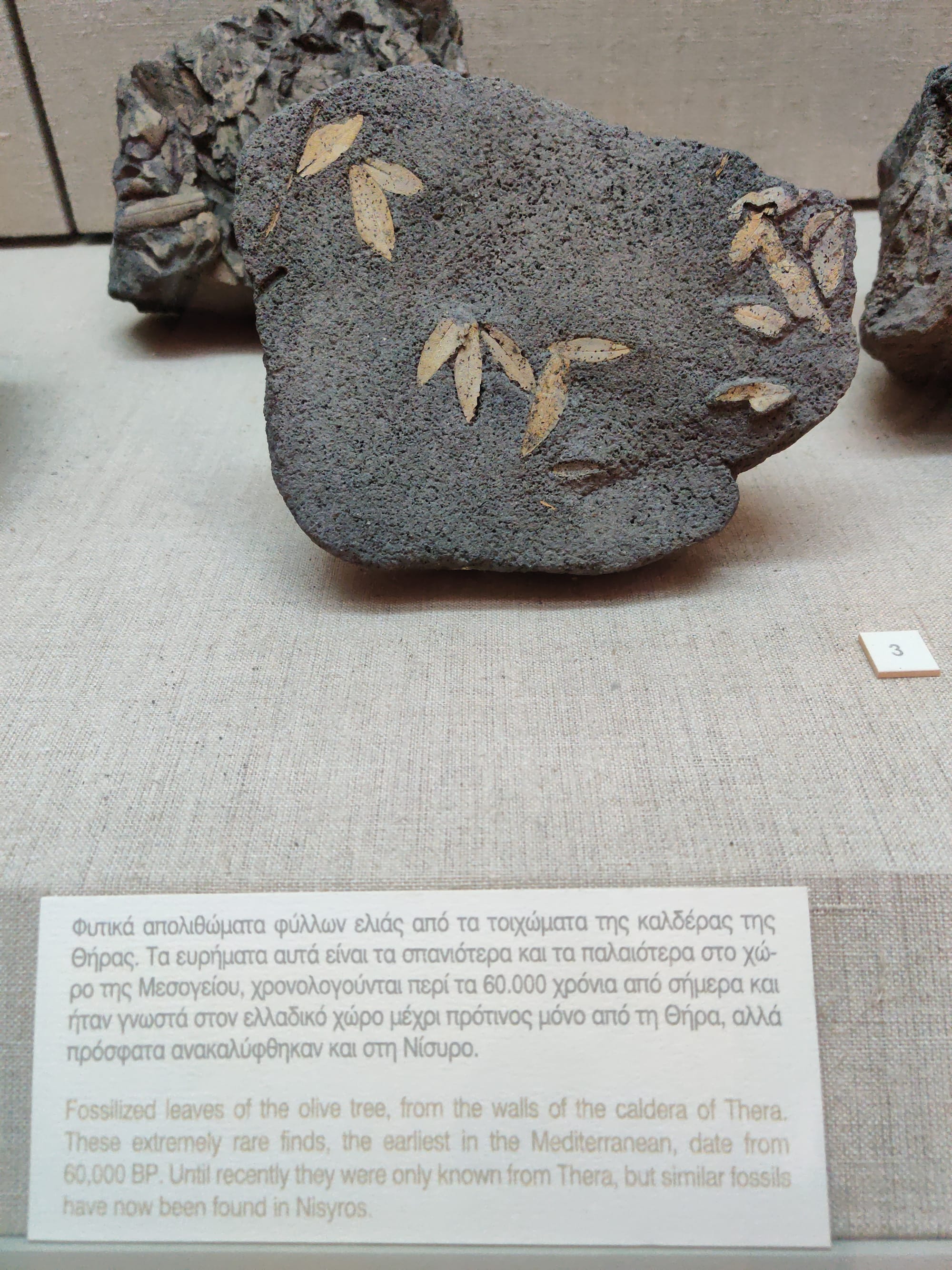 Day 10 - Stormy departure