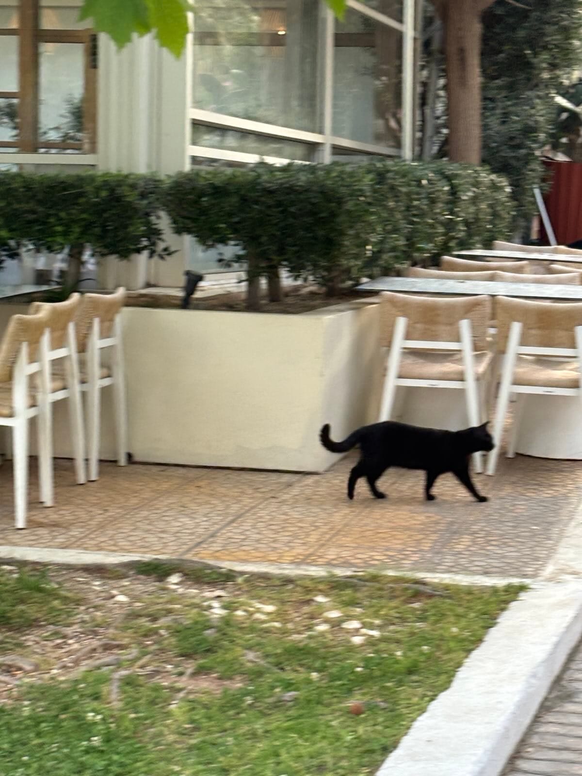 Day 3 - Poseidon or Zeus? Who Knows Bro