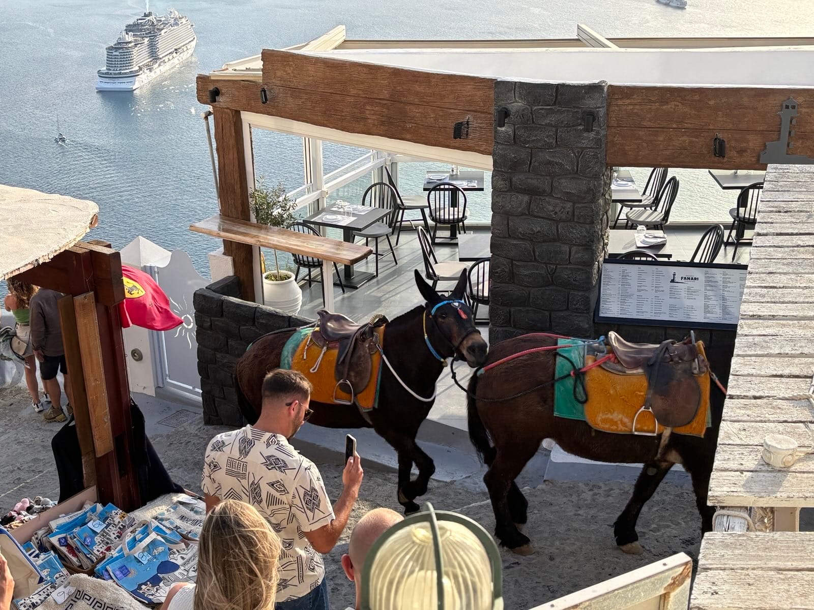 Day 7 - Sad to leave, but Santorini awaits!