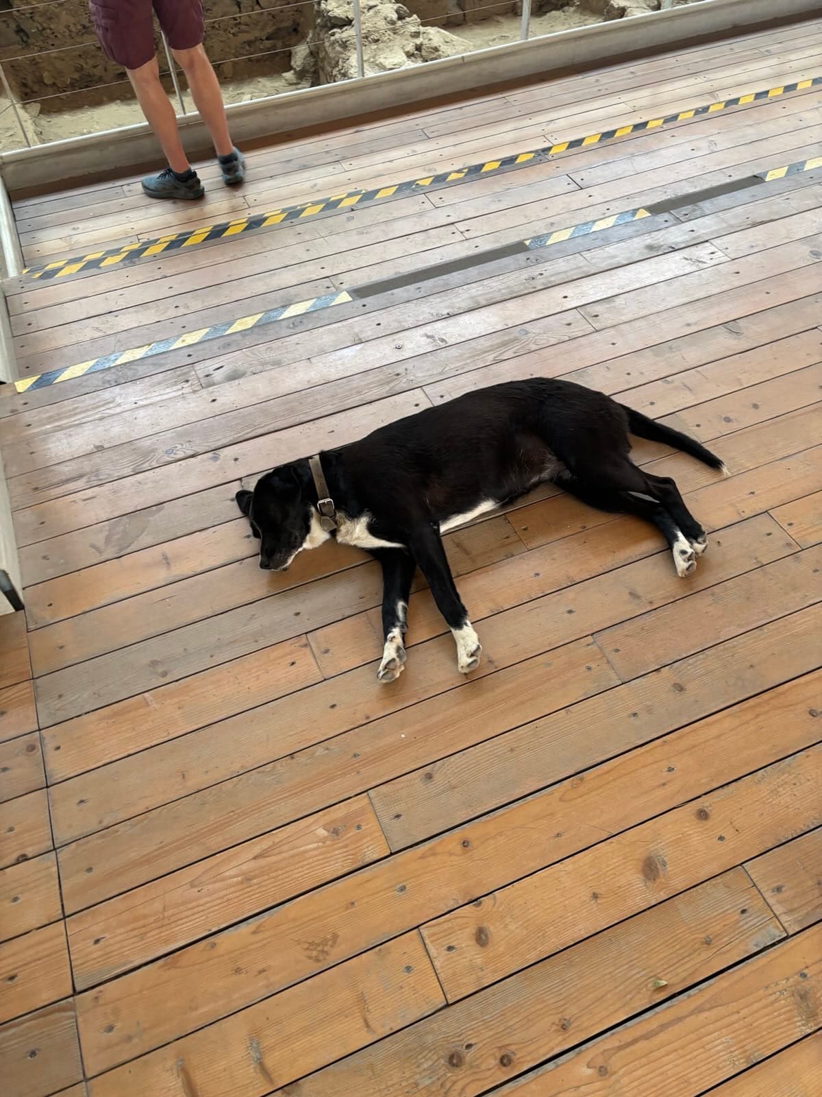 Day 8 - Yet Another Archeological Site - Akrotiri