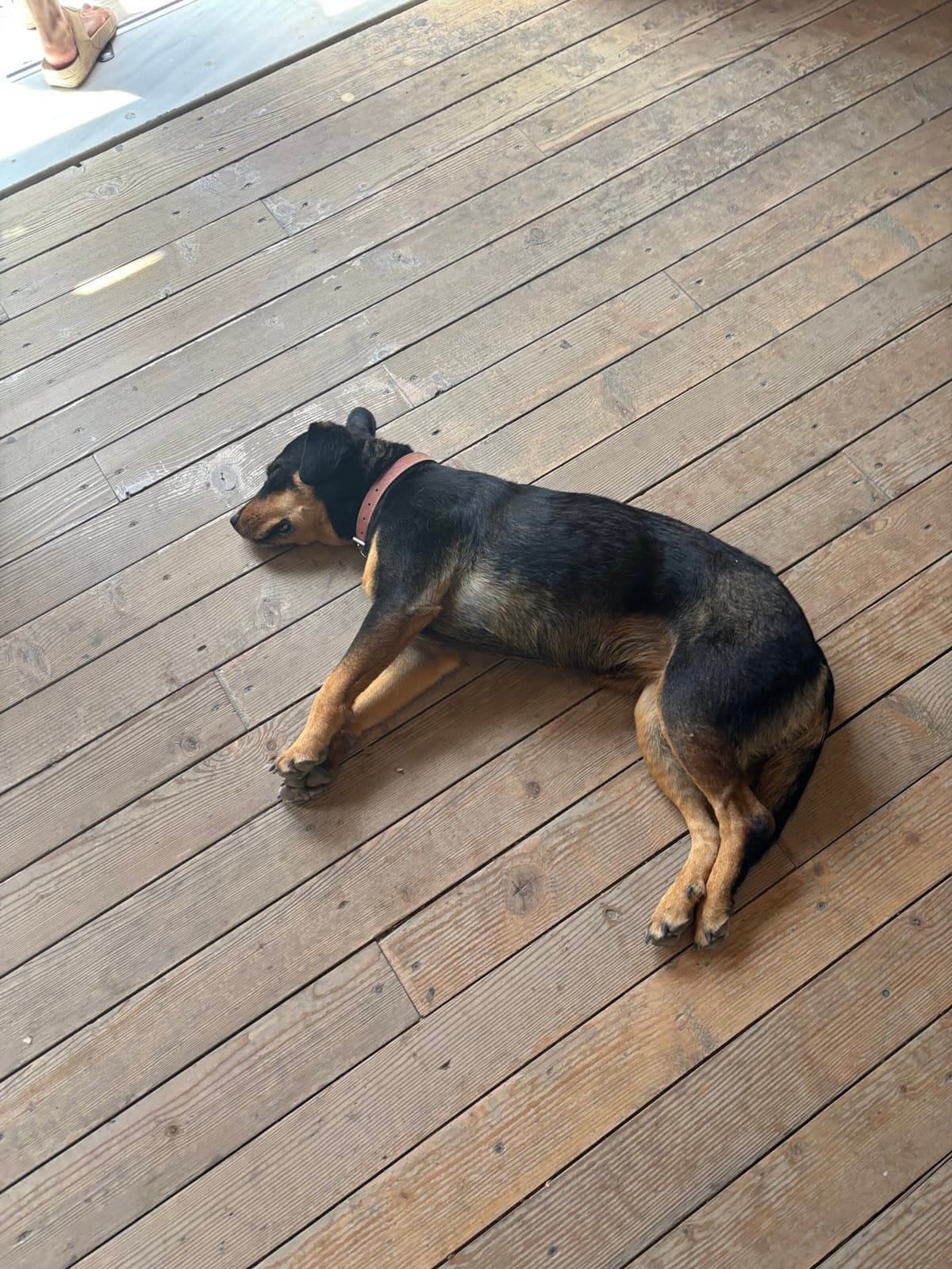 Day 8 - Yet Another Archeological Site - Akrotiri