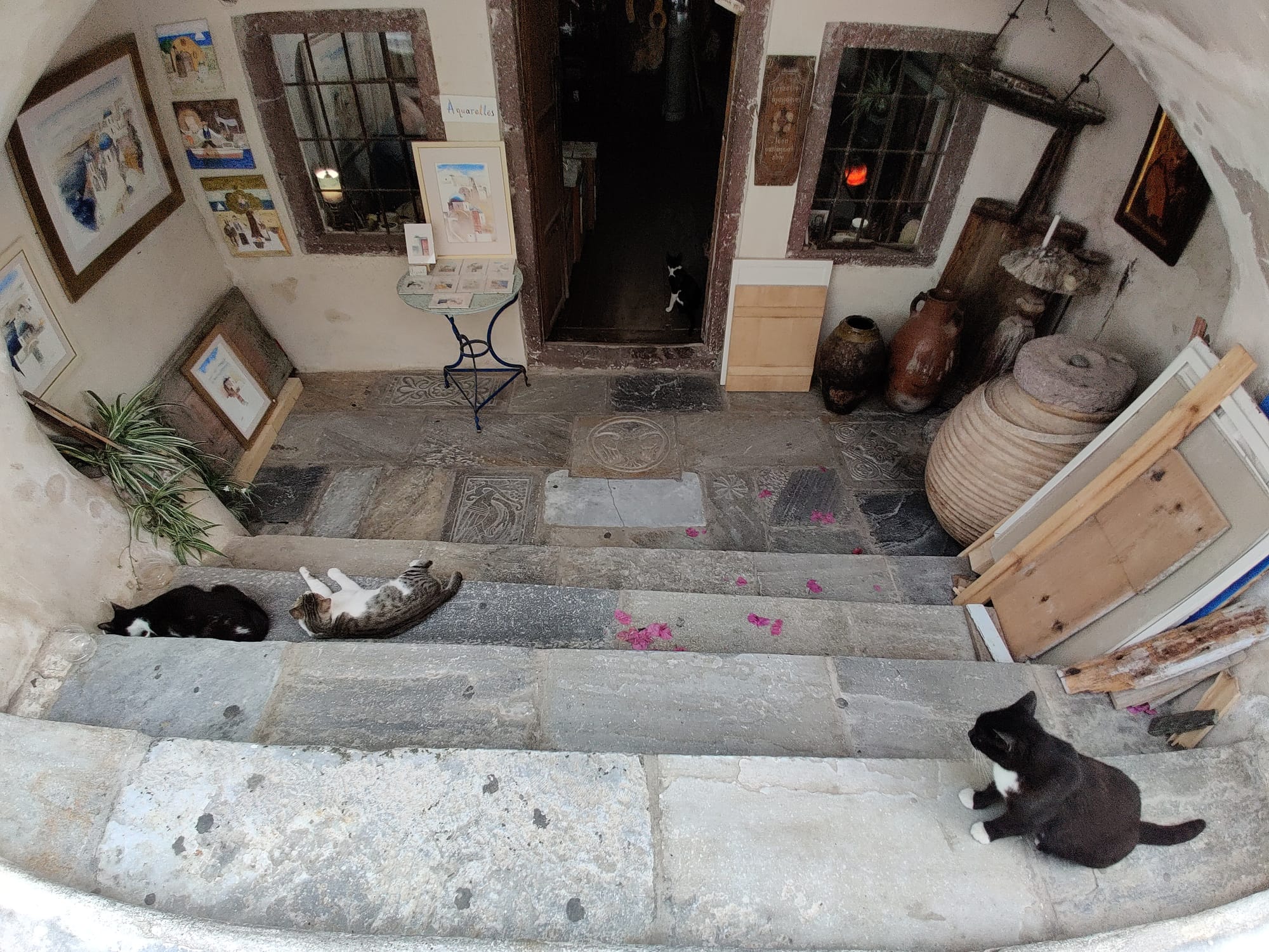 Day 8 - Yet Another Archeological Site - Akrotiri