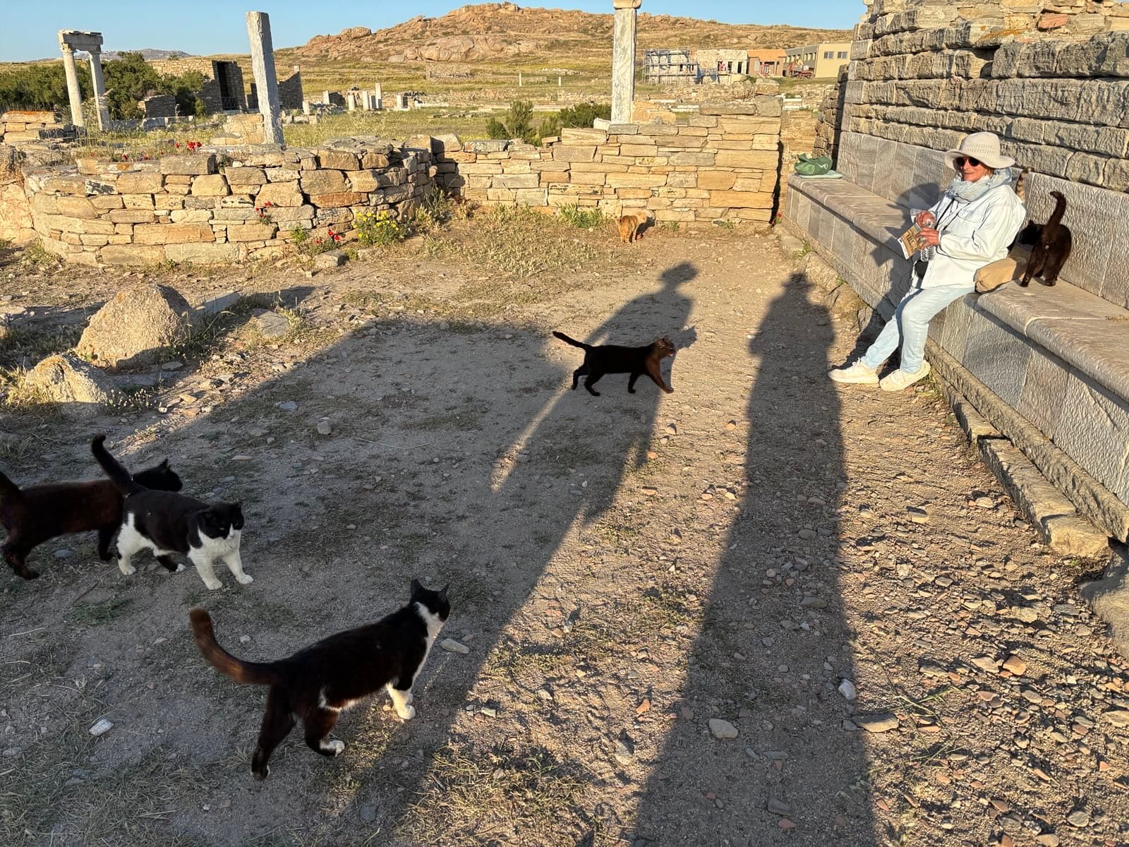 Day 5 - Island of Delos & The Cat Civilization
