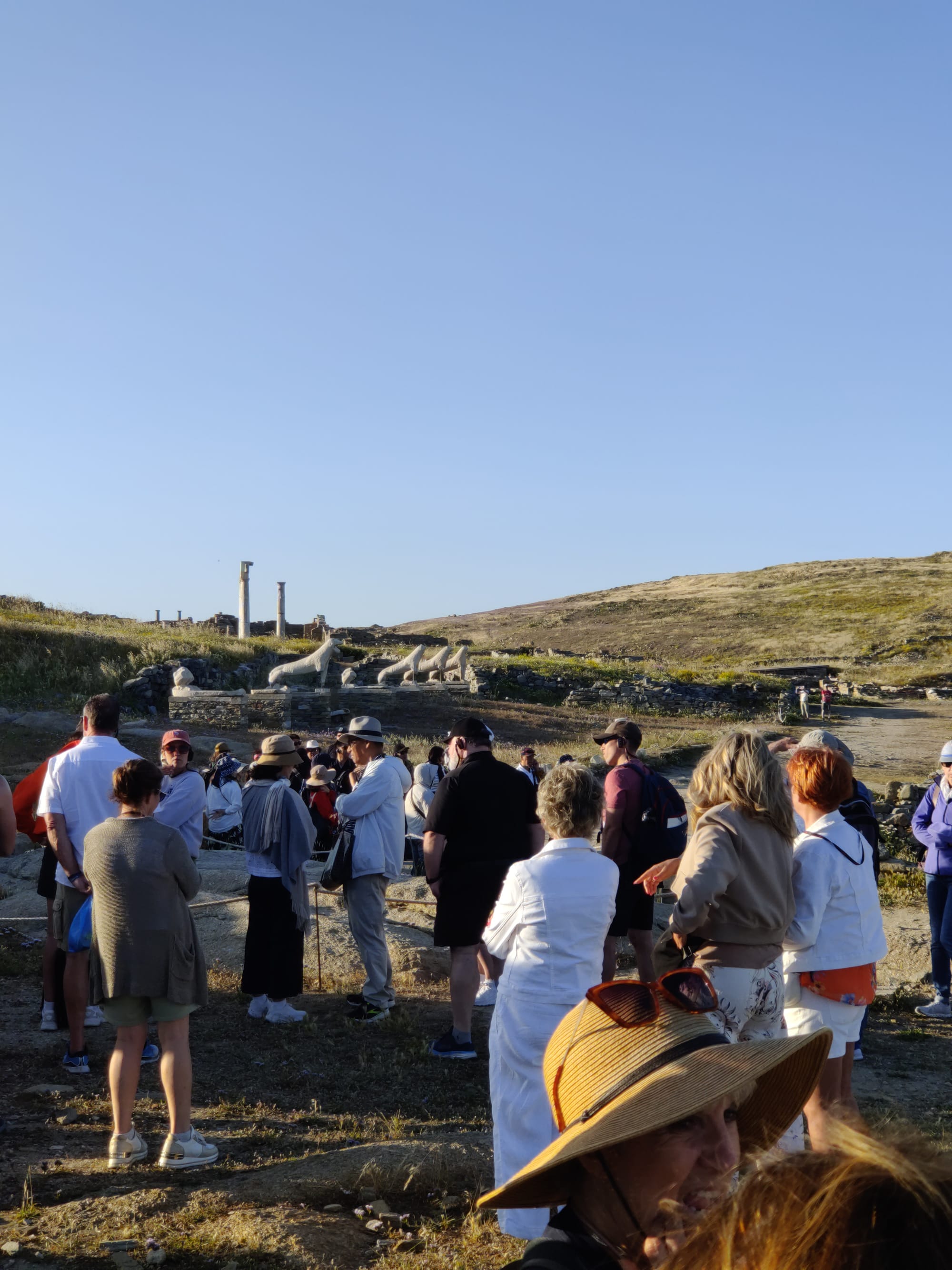 Day 5 - Island of Delos & The Cat Civilization