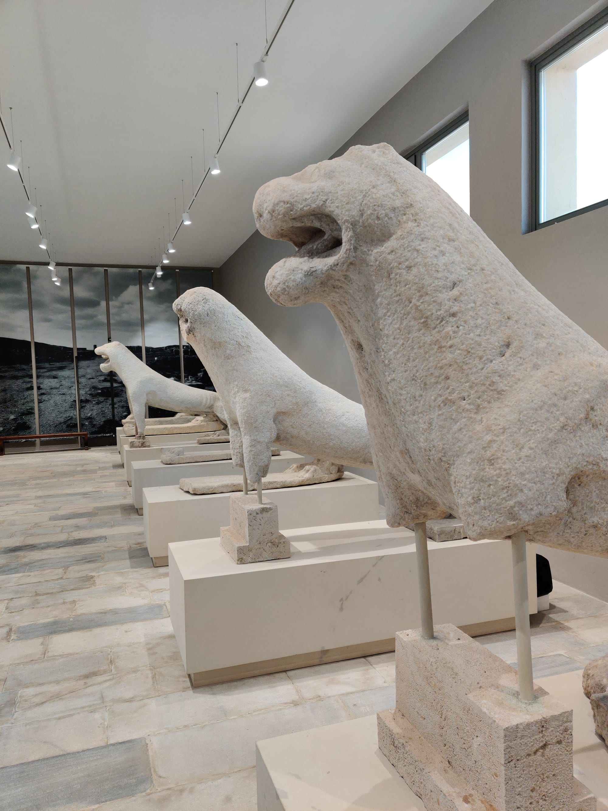 Day 5 - Island of Delos & The Cat Civilization